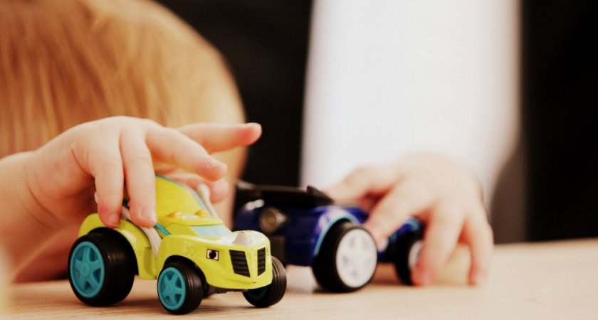 В Коми вор не постеснялся украсть детские игрушки