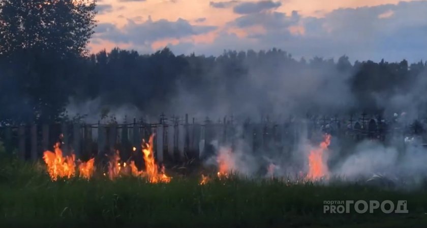 Минобороны РФ обвинило украинцев в поджоге полей с зерном