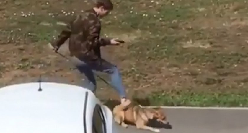"Измывался, как мог": В Коми мужчина издевался и пинал старого пса