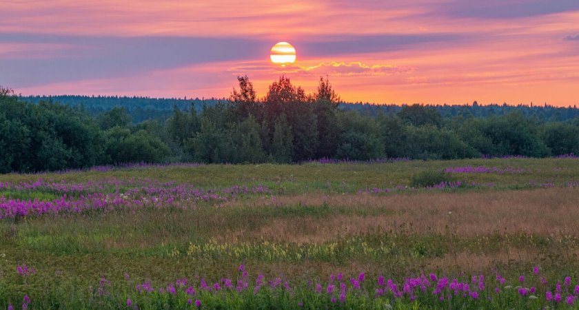 "Ничего необычного": какая погода ожидает ухтинцев? 