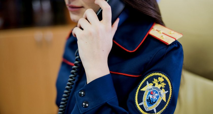 "Мертвые души": на жительницу Коми упали подозрения с мошенническим трудоустройством