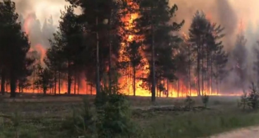 В Коми зафиксировано более двух десятков лесных пожаров