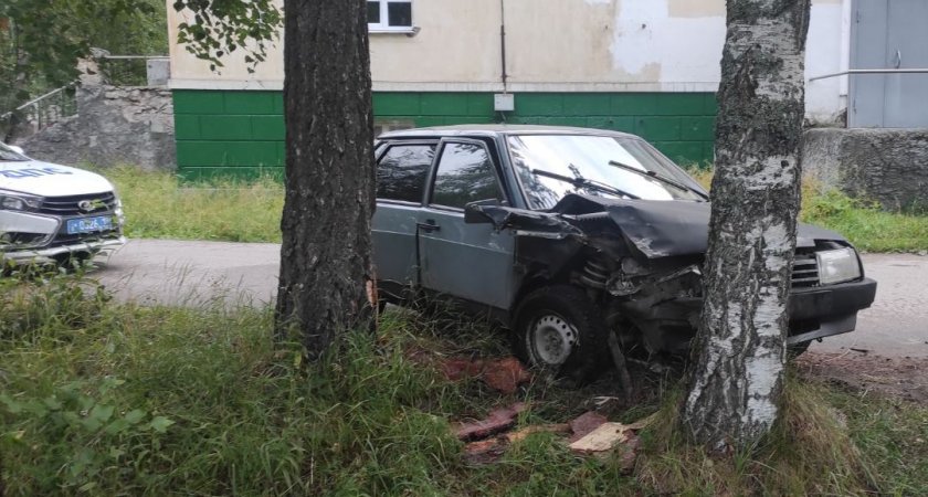 В Сосногорске неопытный водитель врезался в дерево