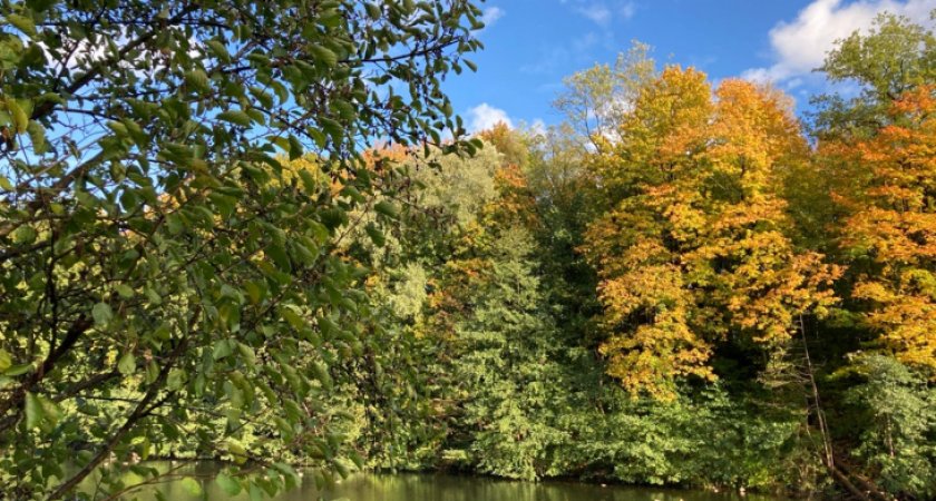 “Лето выдыхается”: какой погоды ждать ухтинцам в эту пятницу?