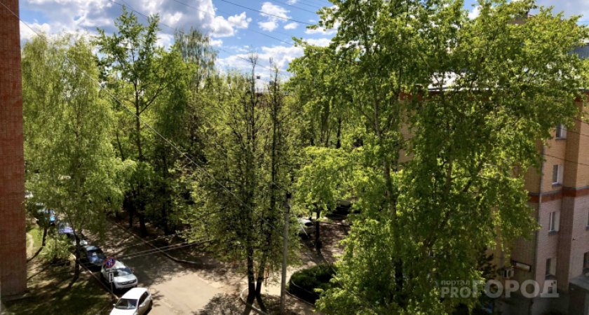 Чем порадует погода ухтинцев в субботу?