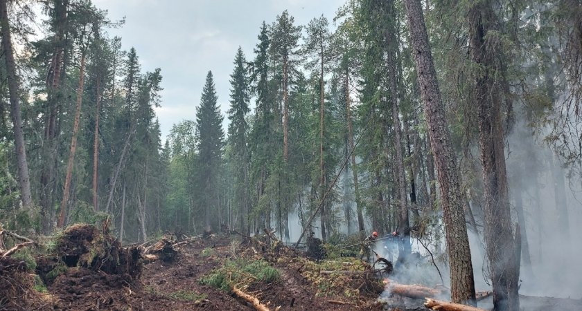 Какова ситуация с лесными пожарами в Коми на сегодняшний день?