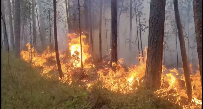 Ситуация с пожарами в лесах Коми улучшается