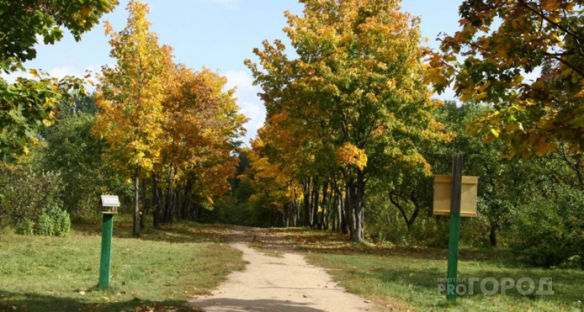 “Лето, прощай”: какой погоды ждать ухтинцам в среду