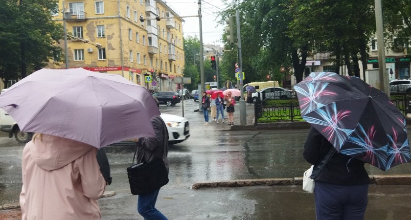 Погода в Ухте 1 сентября заставит родителей и детей брать с собой на линейку зонт