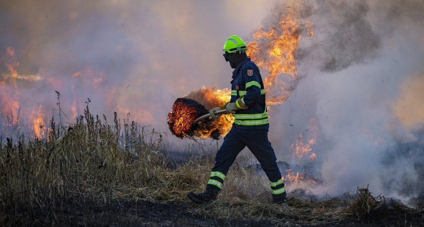 "Держался дольше всех": Ухтинский пожар ликвидировали последним в Коми