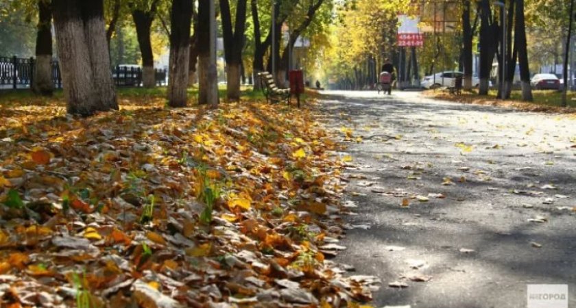 Какие сюрпризы погода готовит ухтинцам сегодня?