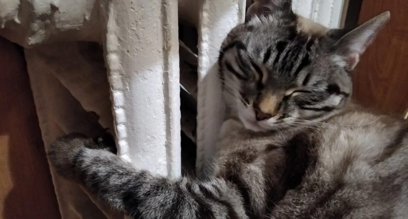 В Сосногорском районе жители 36 домов остались без тепла