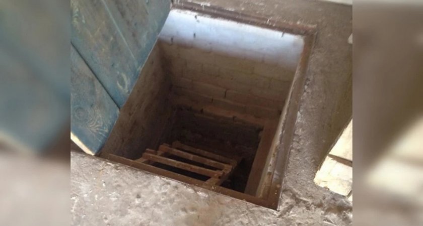 "Что он увидел?!": Житель Коми потерял сознание в в овощной яме