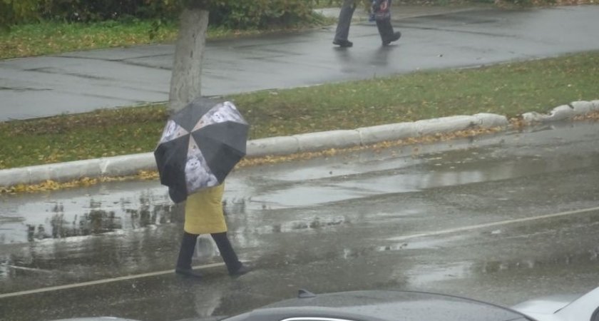 «Дожди и ветер»: какая погода ждет жителей Коми в ближайшие дни
