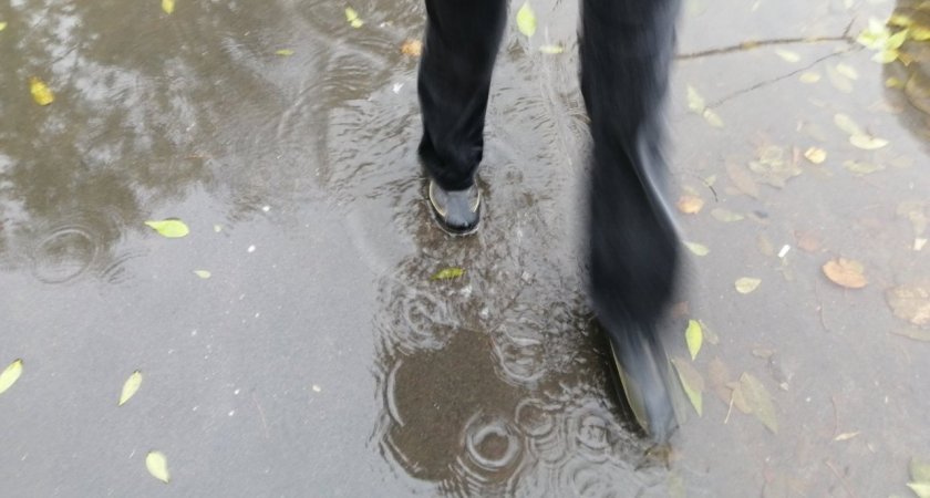 "Стабильно дождливо": синоптики рассказали о погоде в Ухте на эту неделю
