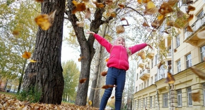 "Зиму отменят?": в Коми наблюдается значительное потепление климата