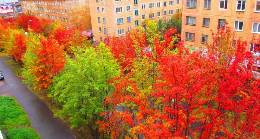 Чем погода порадует ухтинцев в пятницу?