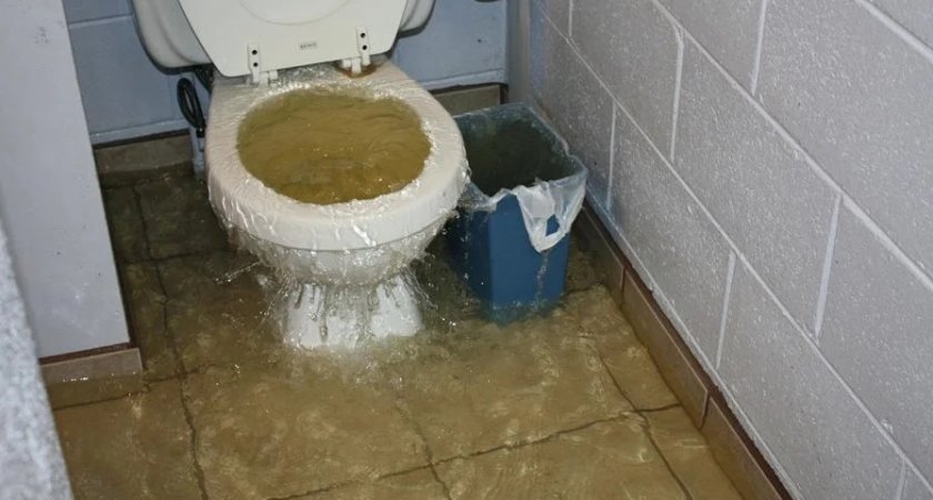 Россиянам хотят запретить выбрасывать мусор в канализацию