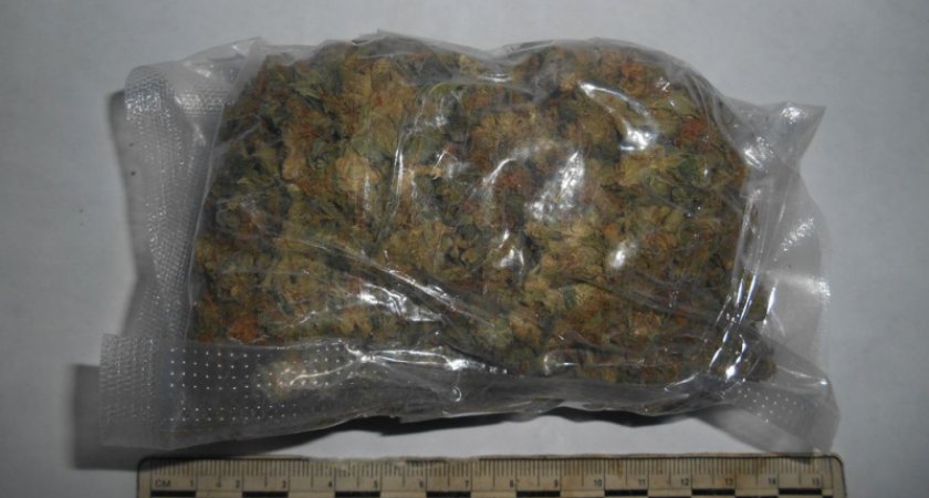 В Коми 50-летнего мужчину подозревают в покушении на сбыт крупной партии наркотиков