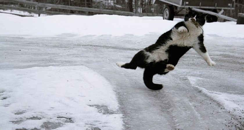 Очень и очень скользко: как погода удивит ухтинцев во вторник?