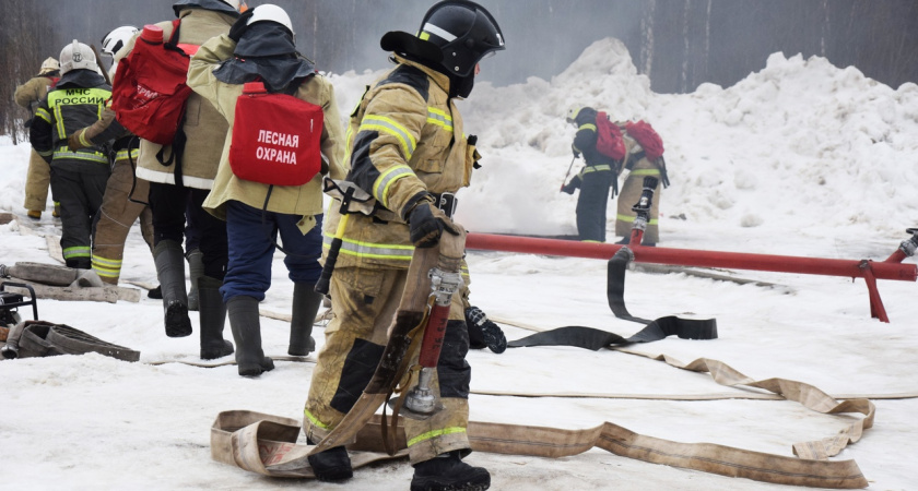 В Ухте специалисты экстренных служб потренировались в тушении лесных пожаров