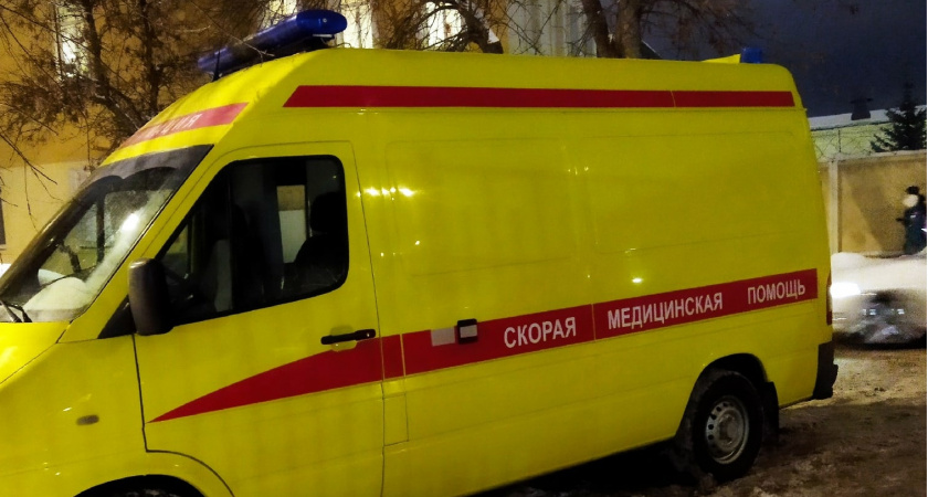 Четырехлетний ребенок остался без пальцев после посещения зоопарка