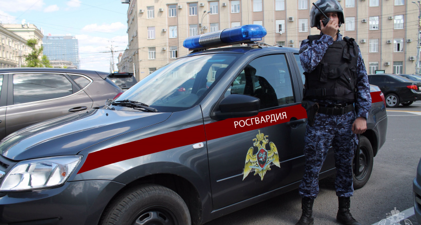 Дебош и драки: Росгвардия Коми задержала более 40 человек за преступления