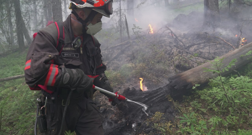 В Коми начинается набор лесных пожарных