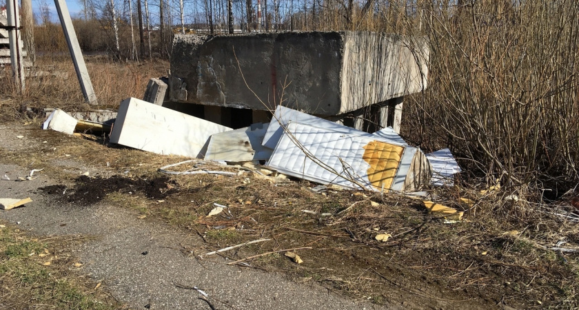 Жители Ухты обнаружили свалку строительного мусора
