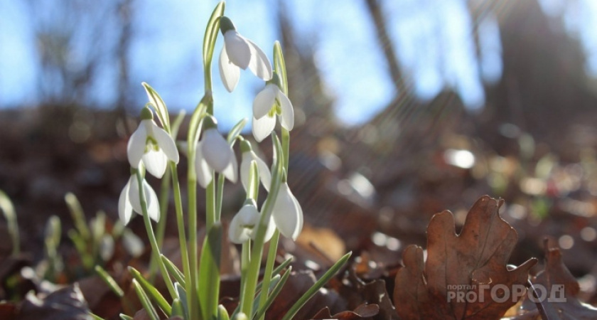 “Это больше похоже на май”: прогноз погоды в Ухте на сегодня