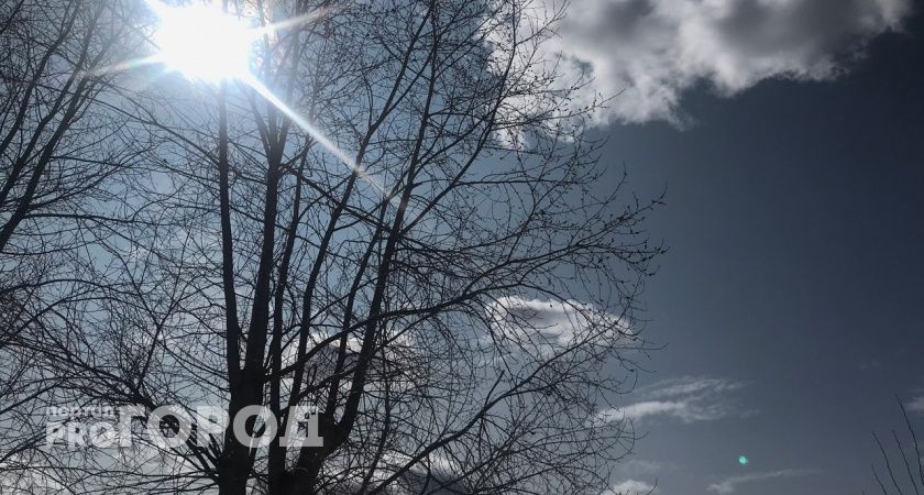 "Ура, настоящая весна!": прогноз погоды на неделю в Ухте