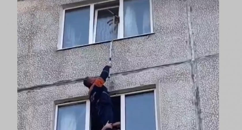 В Коми спасатели помогли застрявшему в окне многоэтажки коту