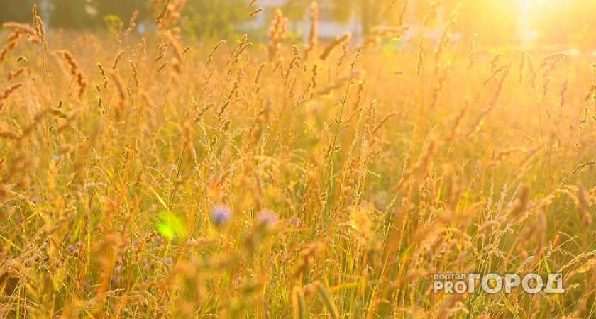В июне россияне отдохнут 14 дней подряд