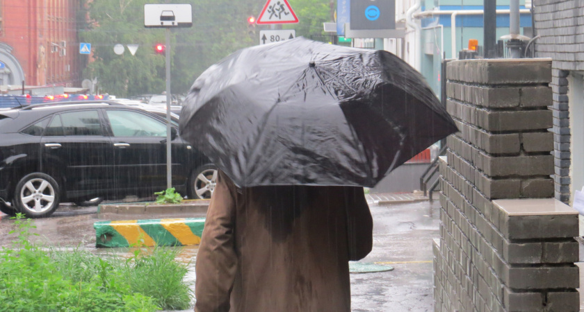 Настоящая осень и вновь осадки: прогноз погоды в Ухте на 9 июня