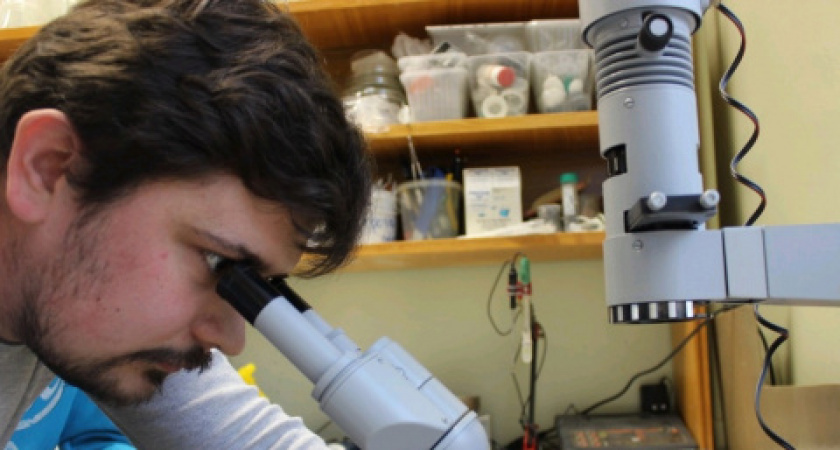 "Ограничьте потребление": назван продукт с убийственной дозой опасного вещества