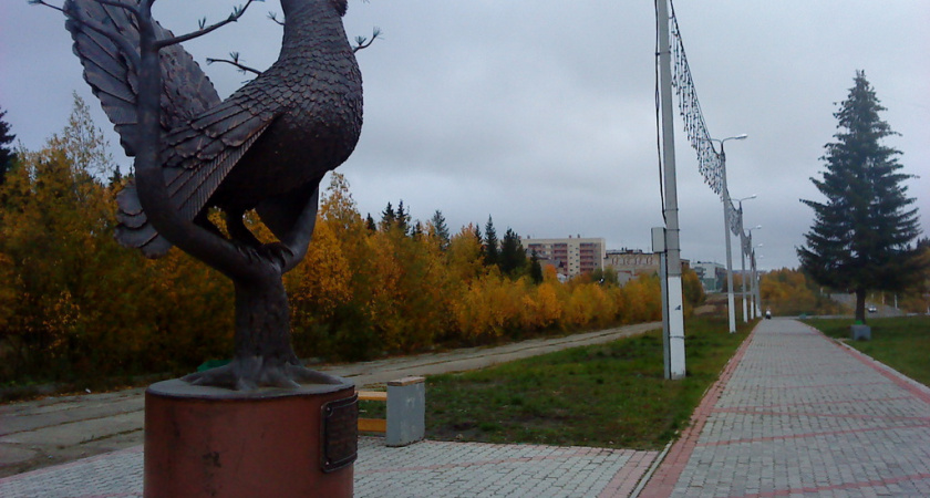 В Сосногорском районе объявлен карантин по трихинеллезу диких животных