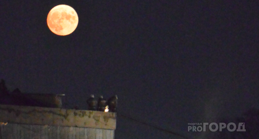 Оленье суперлуние: астрологи предрекли страшные, но нужные перемены