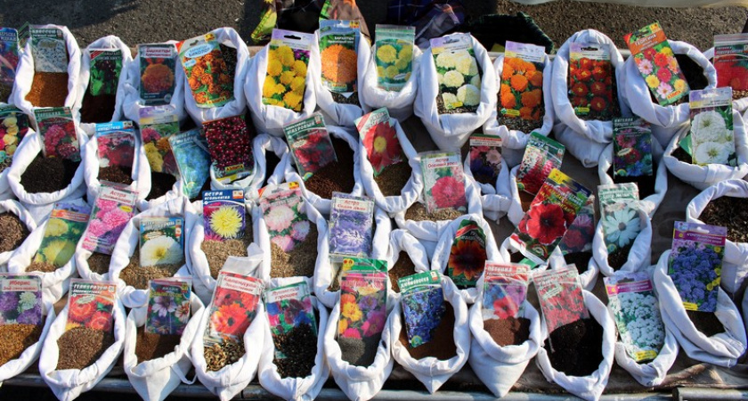 Россельхознадзор обнаружил семена несуществующих растений в магазинах Коми