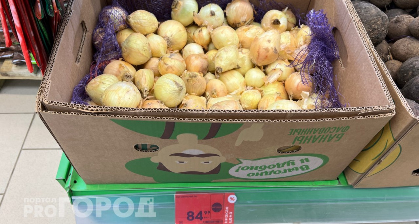 Цена на лук в России достигла рекордных показателей