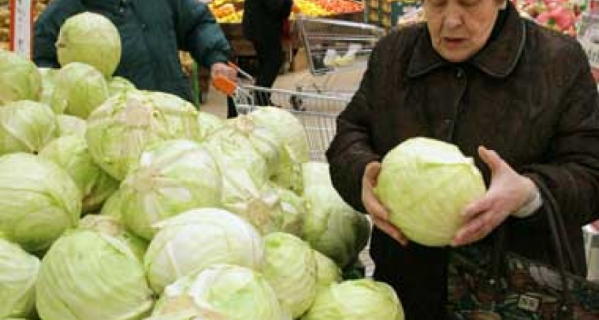 На этой неделе в Коми выросли цены на гречку и капусту, снизились цены на муку и сыр