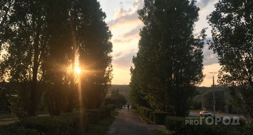 А на улице жара: прогноз погоды в Ухте на 18 июля