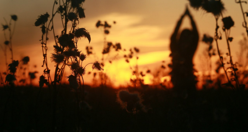 Не жарко и не холодно: прогноз погоды в Ухте на 21 июля