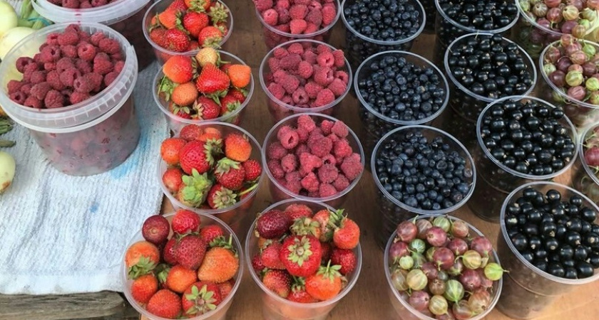 Названа, пожалуй, самая полезная ягода в мире: понижает холестерин и чистит печень