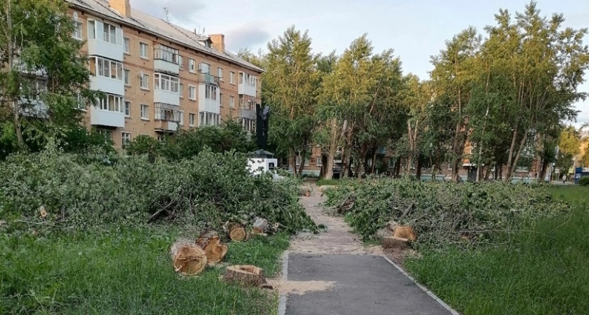 «Зачем они срубили деревья?»: ухтинцы недовольны состоянием сквера на Оплеснина