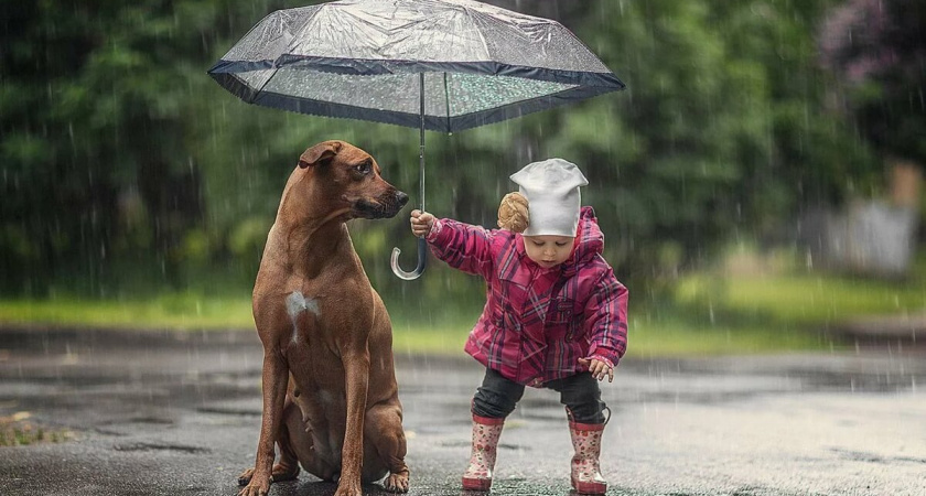 Убедитесь сами: люди с такими именами - самые добрые и ранимые