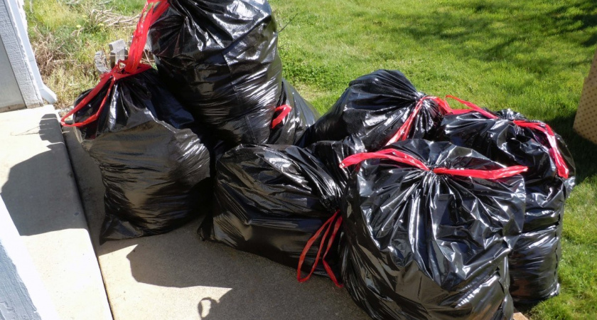 Выбросили в пакете: дачники в кустах обнаружили новорожденного