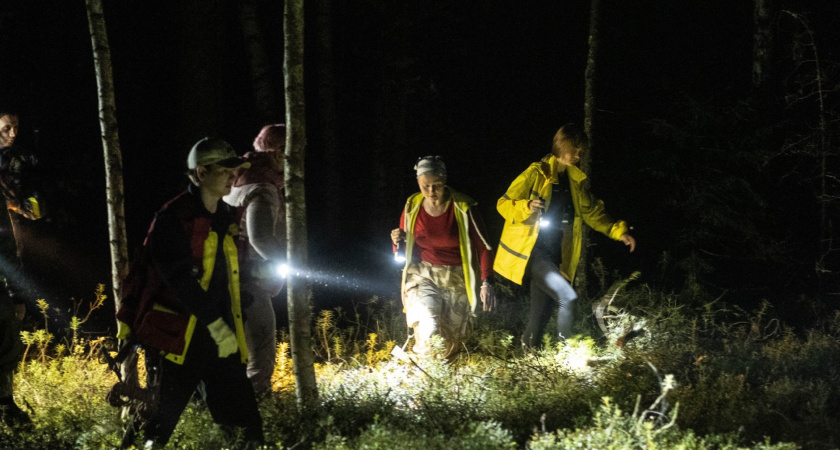 "Рука, торчала из болота, сжимая банку с черникой": волонтер из Коми рассказывает о спасении дедушки