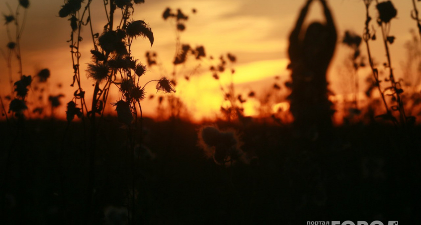 Василиса Володина объявила созвездия, в которых в сентябре ожидается прибыль и повышение на работе