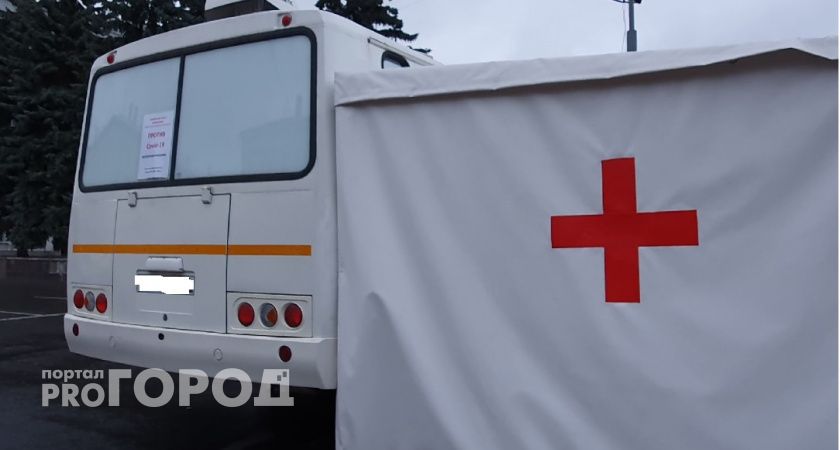 В Коми планируют привить от гриппа 86 тысяч детей