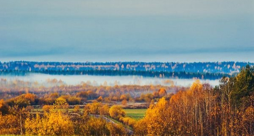 Хорошо на севере: погода в республике Коми продолжает радовать жителей своей умеренностью